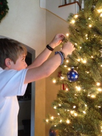 2013-11-30 15-01-53 Pre Christmas Decor.jpg